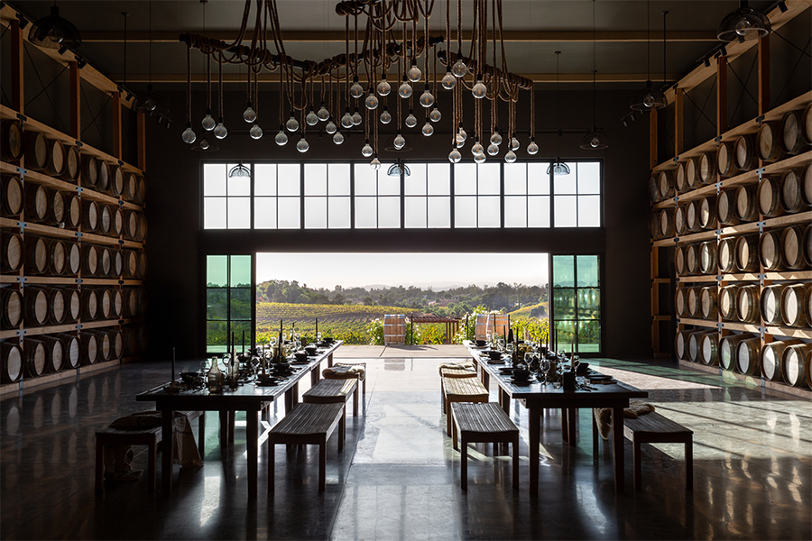 Winery tasting room lined with oak barrels overlooking vineyards